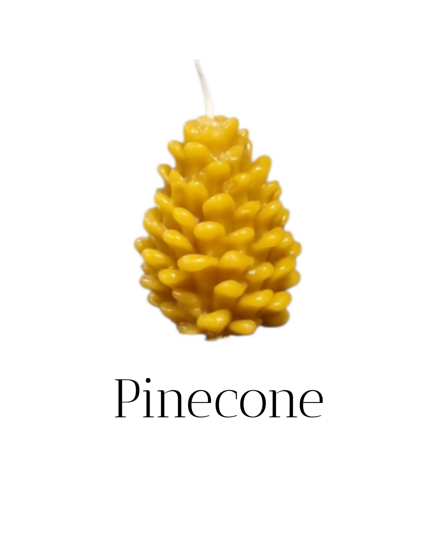 Beeswax Pinecone Candle